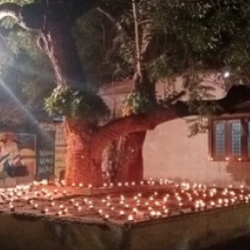 Ankamma Thalli Chettu